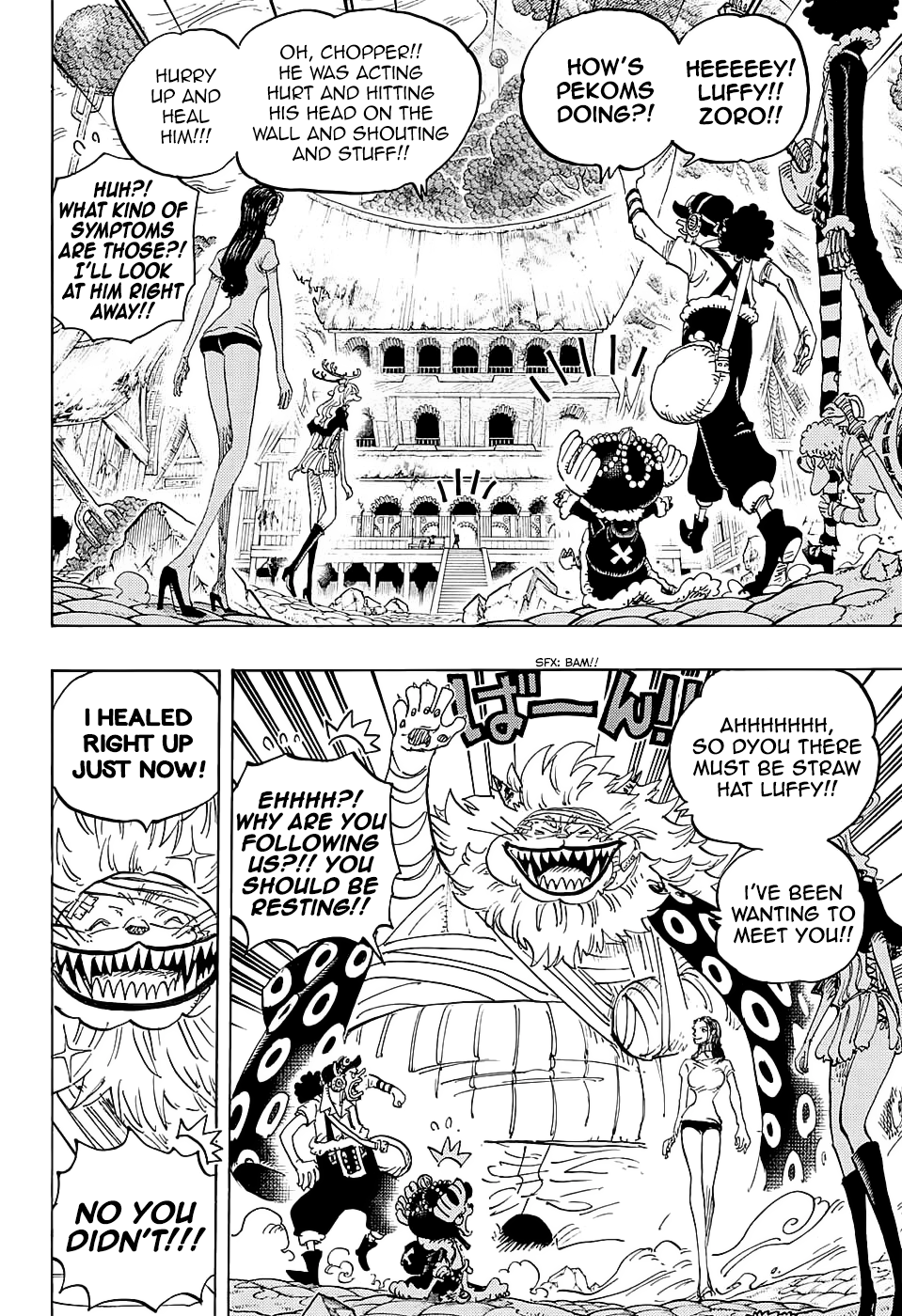 One Piece, Chapter 815 image 11